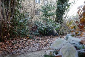 Garten, Liegenschaft «Im langen Loh 251» Januar 2017